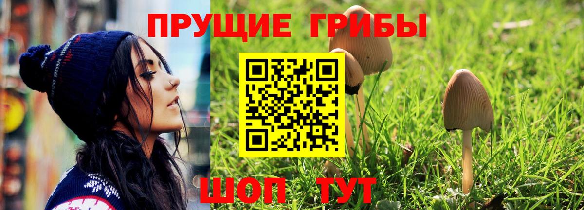 Галлюциногенные грибы мухоморы Севастополь
