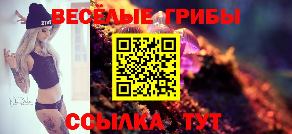 Псилоцибиновые грибы MAGIC MUSHROOMS  Вход с VPN  Севастополь 